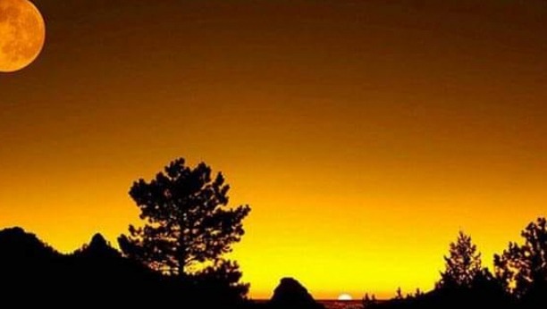 HOROSKOP ZA VIKEND Vodoliju čeka novac, napredak u karijeri Blizanci, Škorpiji su ljubav i romansa na prvom mestu