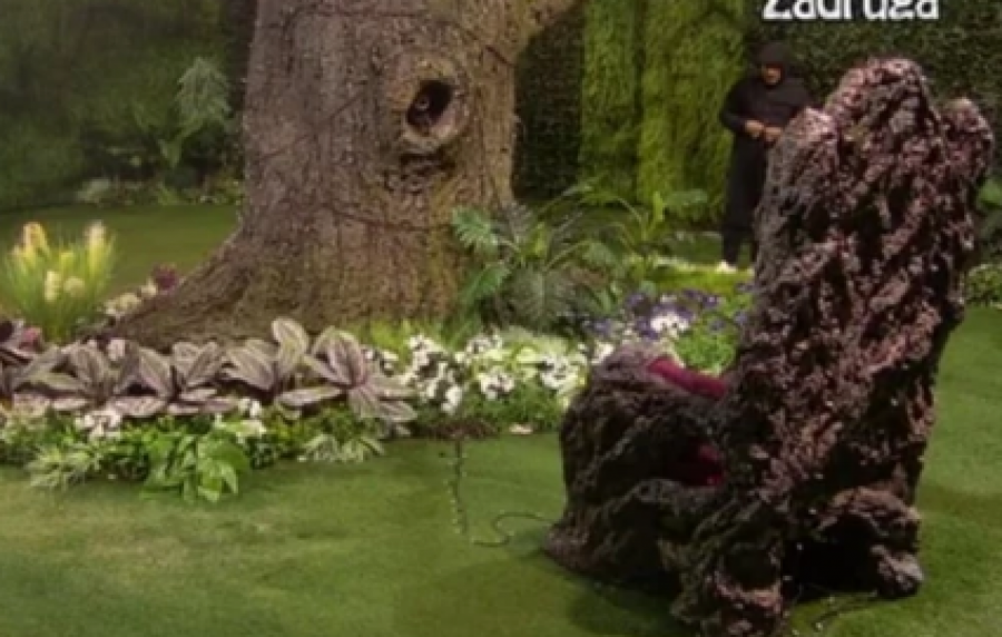 ROBERT MITROVIĆ BEŽI IZ ZADRUGE! Otkriveno i zbog čega