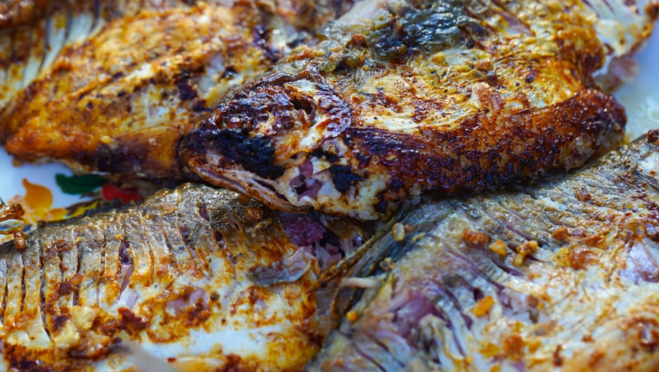 ZA OVO MNOGI NE ZNAJU Izbegavajte 4 vrste ribe, u sebi sadrže opasnu stvar