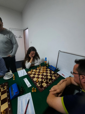 CRVENA ZVEZDA ŽELI POVRATAK U ELITU  Romantičari odustali, dok Zvezda nemilosrdno gazi sve protivnike