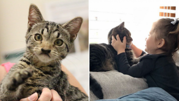 DIRLJIVA PRIČA O MAČETU I DEVOJČICI To je bila ljubav na prvi pogled, oboje imaju isti "defekt" i sada su jedno drugom podrška