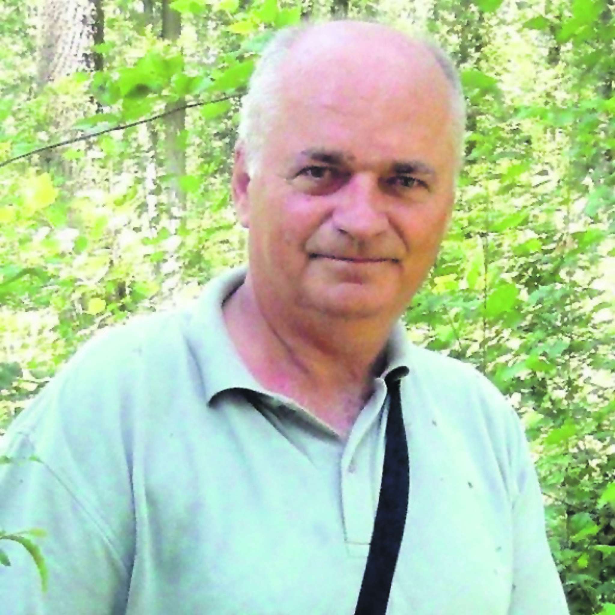 NOVA MAFIJA Organizovane kriminalne grupe razvile sistem za nelegalnu seču drva: Za jedan dan pokradu pola šume