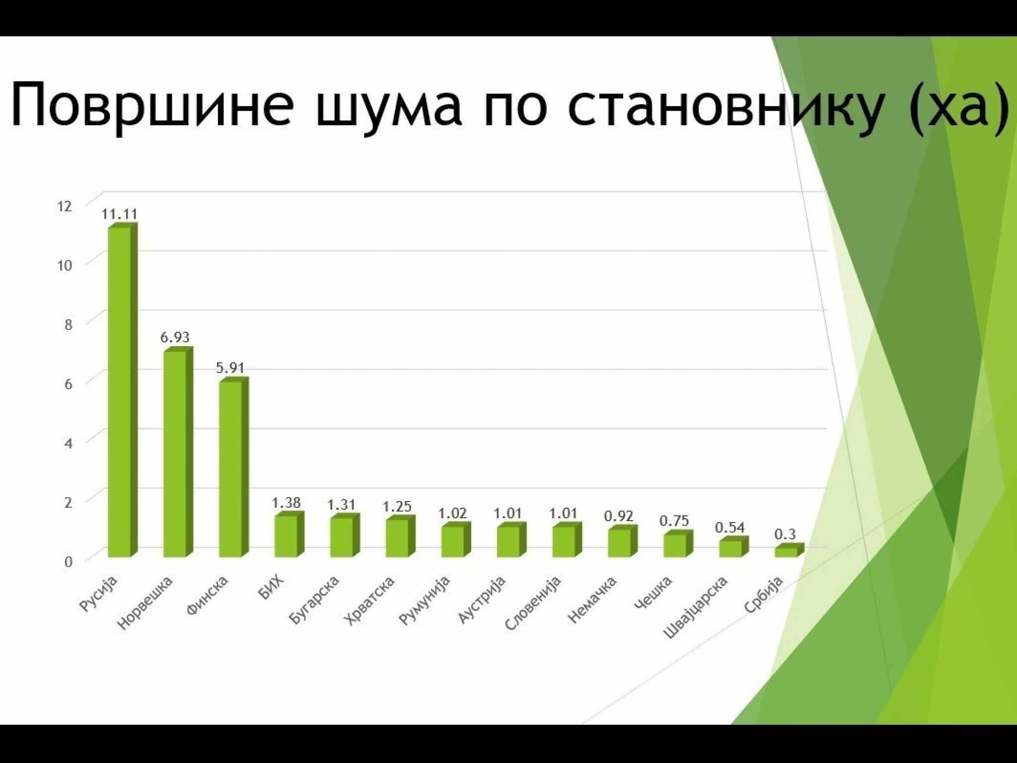 NOVA MAFIJA Organizovane kriminalne grupe razvile sistem za nelegalnu seču drva: Za jedan dan pokradu pola šume