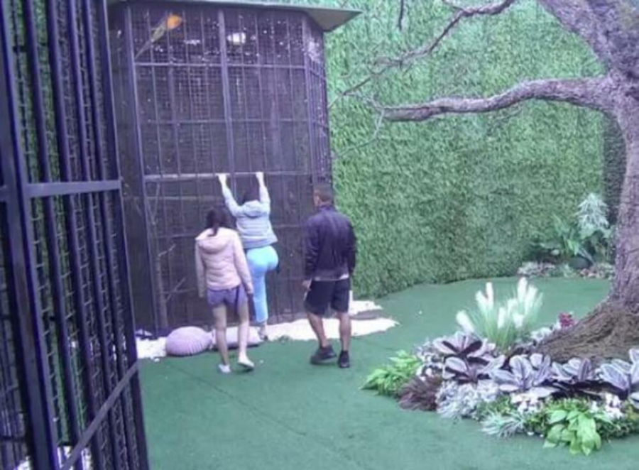 ZADRUGARKA BEŽI IZ RIJALITIJA Haos na imanju u cik zore, razvalila vrata u jeku nervnog sloma