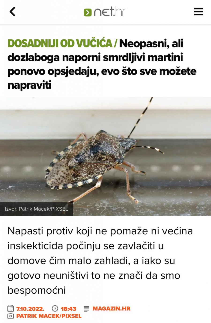 USTAŠE GORE U PAKLU NEMOĆI I KOMPLEKSA Puna im usta Vučića, a srca zlobe i izopačenosti (FOTO)