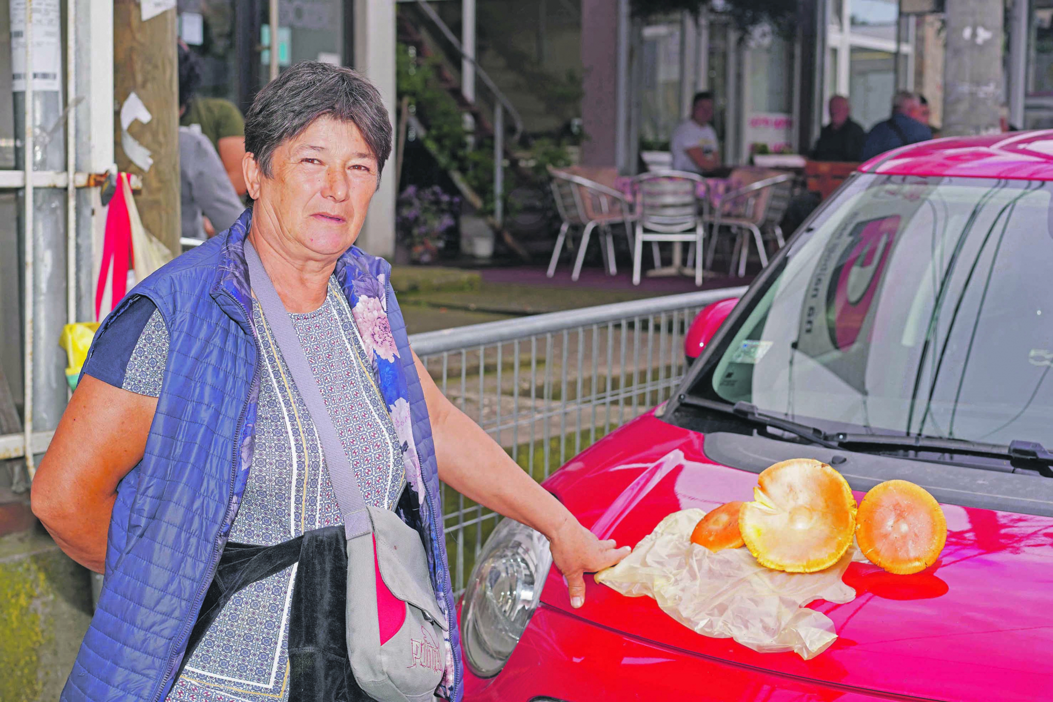 ALO! U AKCIJI Iskusna gljivarka našla neobičan primerak pečurke, zajedno smo proverili da li je jestiv!