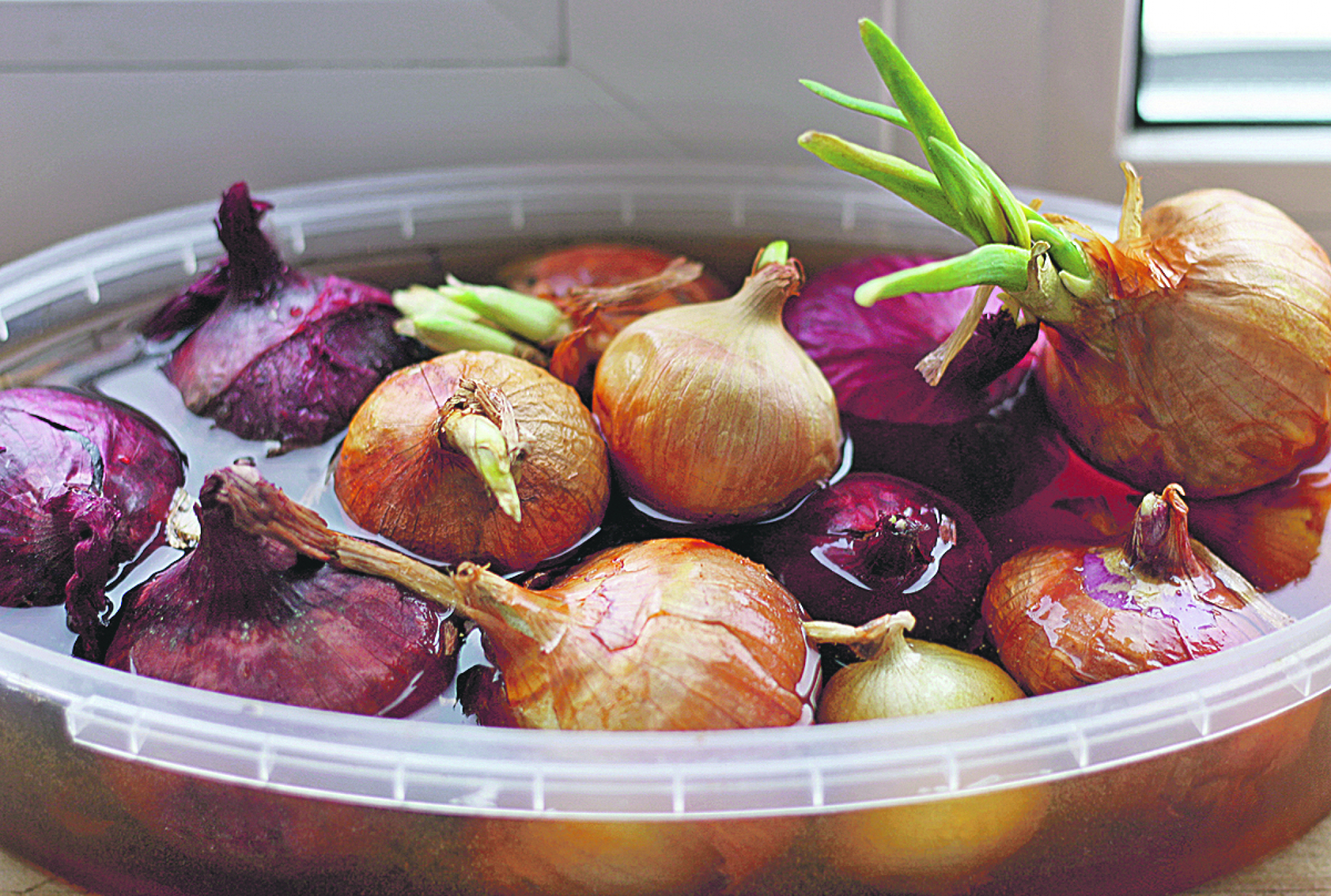 CENA LUKOVINE ŠOKIRALA SRBE! Je li moguće da je plaćamo ovoliko?