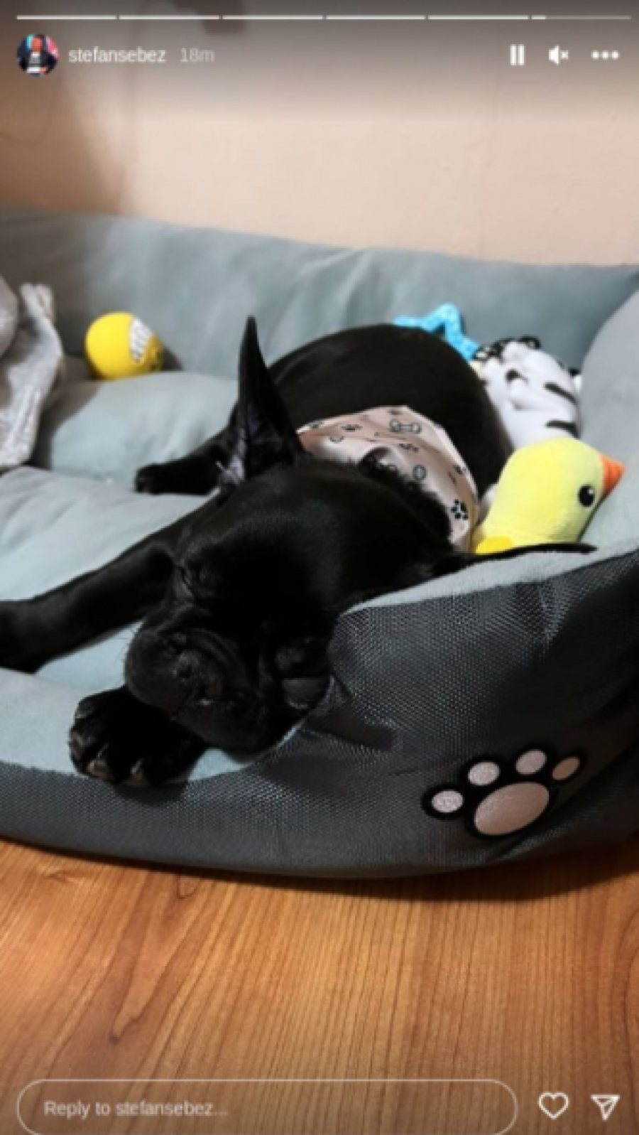 NOVI ČLAN PORODICE ŠEBEZ Bivši zadrugar objavio najsrećnije vesti, čestitke stižu sa svih strana