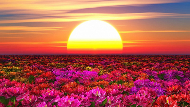 VELIKI MESEČNI HOROSKOP ZA NOVEMBAR Lav će se ludo zaljubiti, Jarac dobija primamljivu poslovnu ponudu