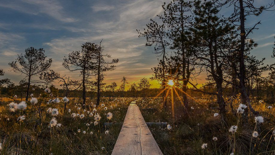 NEDELJNI HOROSKOP Bikovi će imati razgovor sa nadležnim, Lava čeka kriza u odnosima, Vodolije su u psihološkom minusu