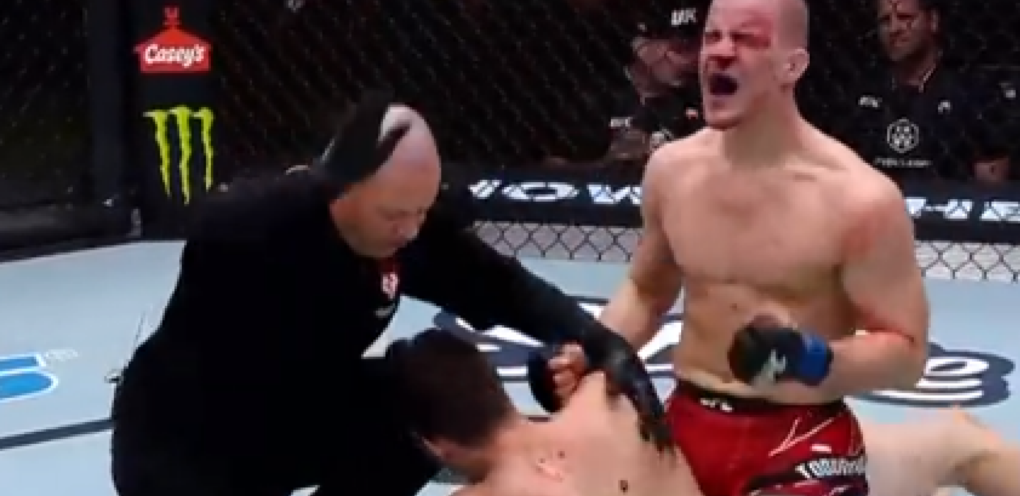 SRBIN RAZBIO "NINDŽU SA BEVERI HILSA" Duško Todorović patosirao Amerikanca u Las Vegasu (VIDEO)