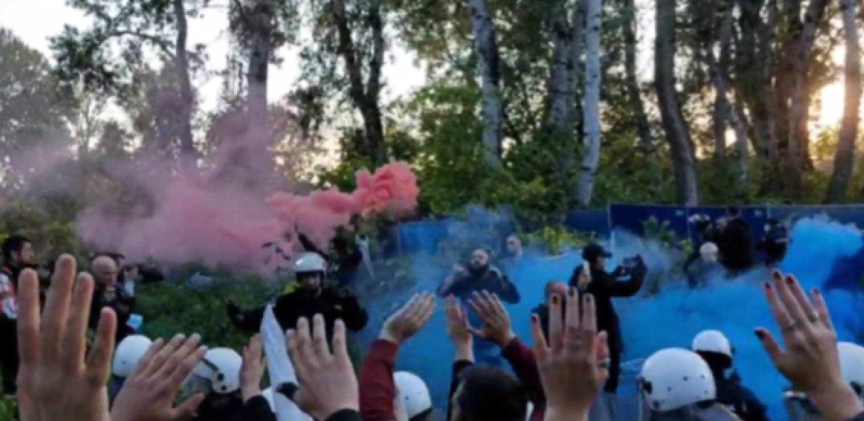 EKSTREMISTI PRAVE HAOS NA ŠODROŠU Bacaju dimne bombe i ugrožavaju životinje; Novosađani im rekli: NE! (VIDEO)