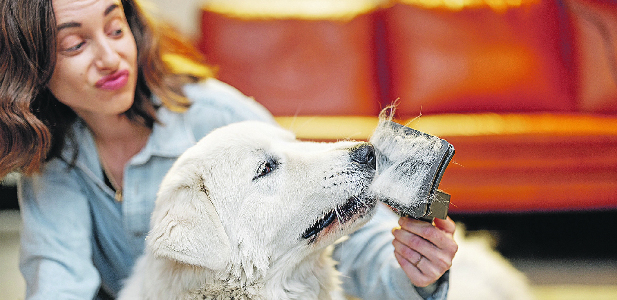 KADA JE LINJANJE PREKOMERNO Držite opadanje dlaka kod pasa pod kontrolom