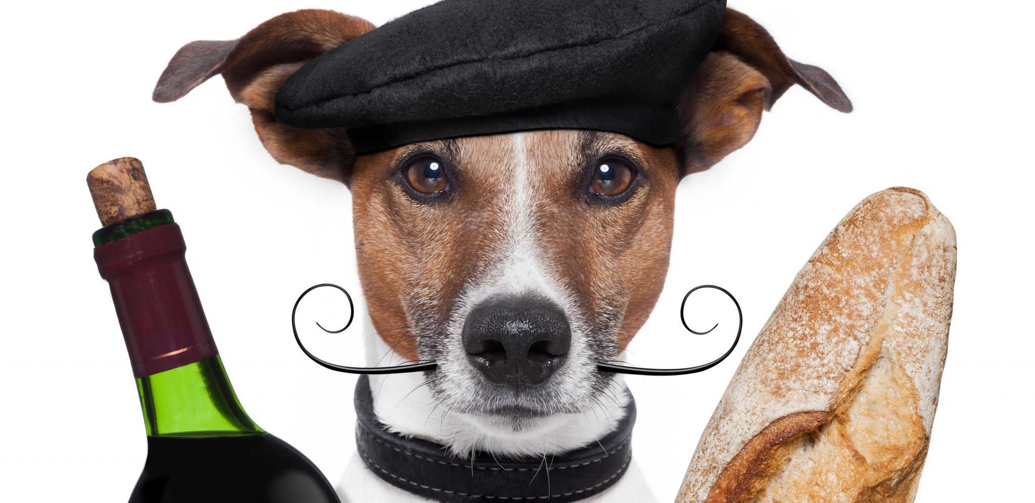 Hoćeš ljubimca? Pokaži potvrdu