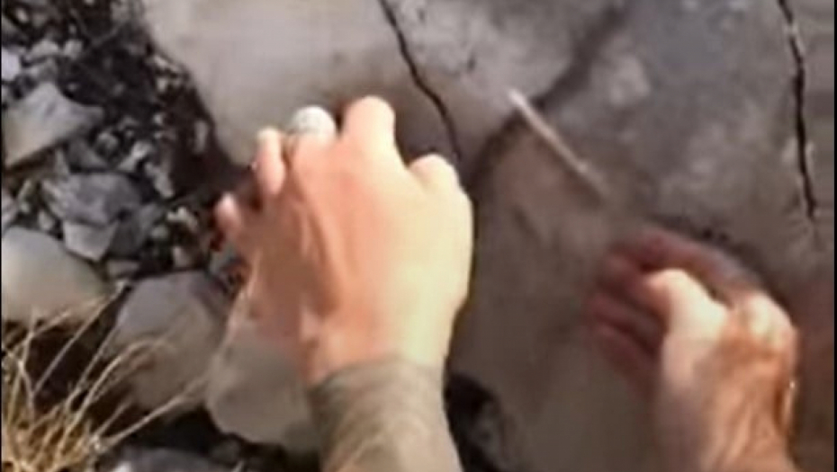 NESHVATLJIVA GREŠKA Htela da pomazi poskoka, a onda se desilo nešto neočekivano (VIDEO)