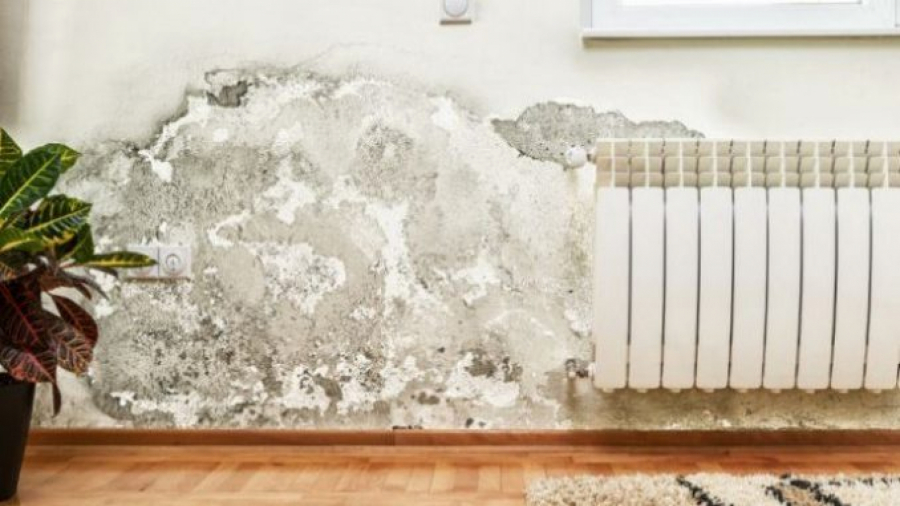 STUDENTKINJA PREŽIVELA PAKAO ZBOG STANODAVCA Stalno dolazio i pričao budalaštine da bi je zastrašivao