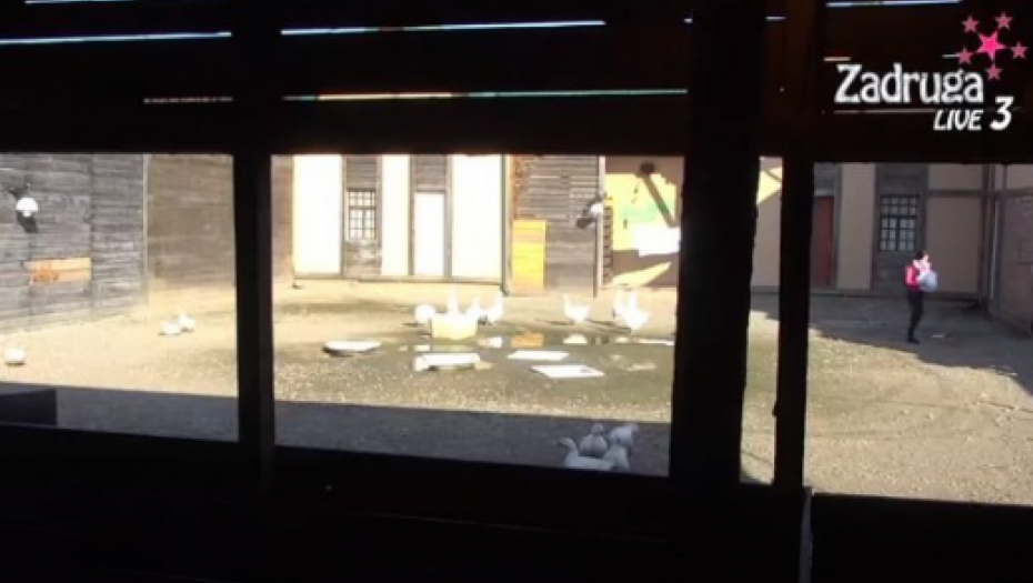 SKANDALOZNO Zadrugarka pravila totalni haos po dvorištu, niko ni ne sluti šta je uradila (FOTO/VIDEO)