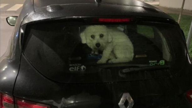 PAS ZAKLJUČAN U KOLIMA PODELIO SRBIJU Pljušte psovke i svađe u komentarima, usijale se mreže! (ANKETA)