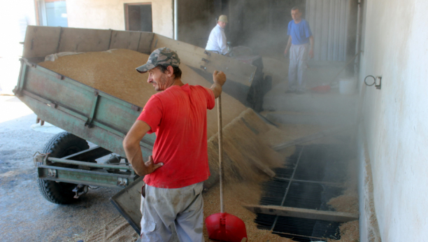 SVET NEK BRINE, SRBIJA IMA ŽITA! Rusi suspendovali Sporazum o izvozu žitarica iz Ukrajine, mnoge države najavile novo poskupljenje hrane