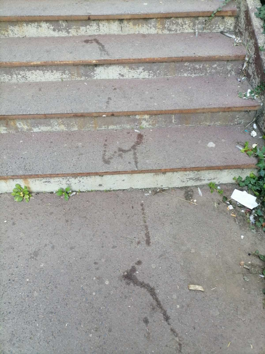 ALO! OTKRIVA DETALJE PUCNJAVE NA ZVEZDARI Na Nikolu ispaljeno 15 metaka, a evo šta ga je spasilo od sigurne smrti!