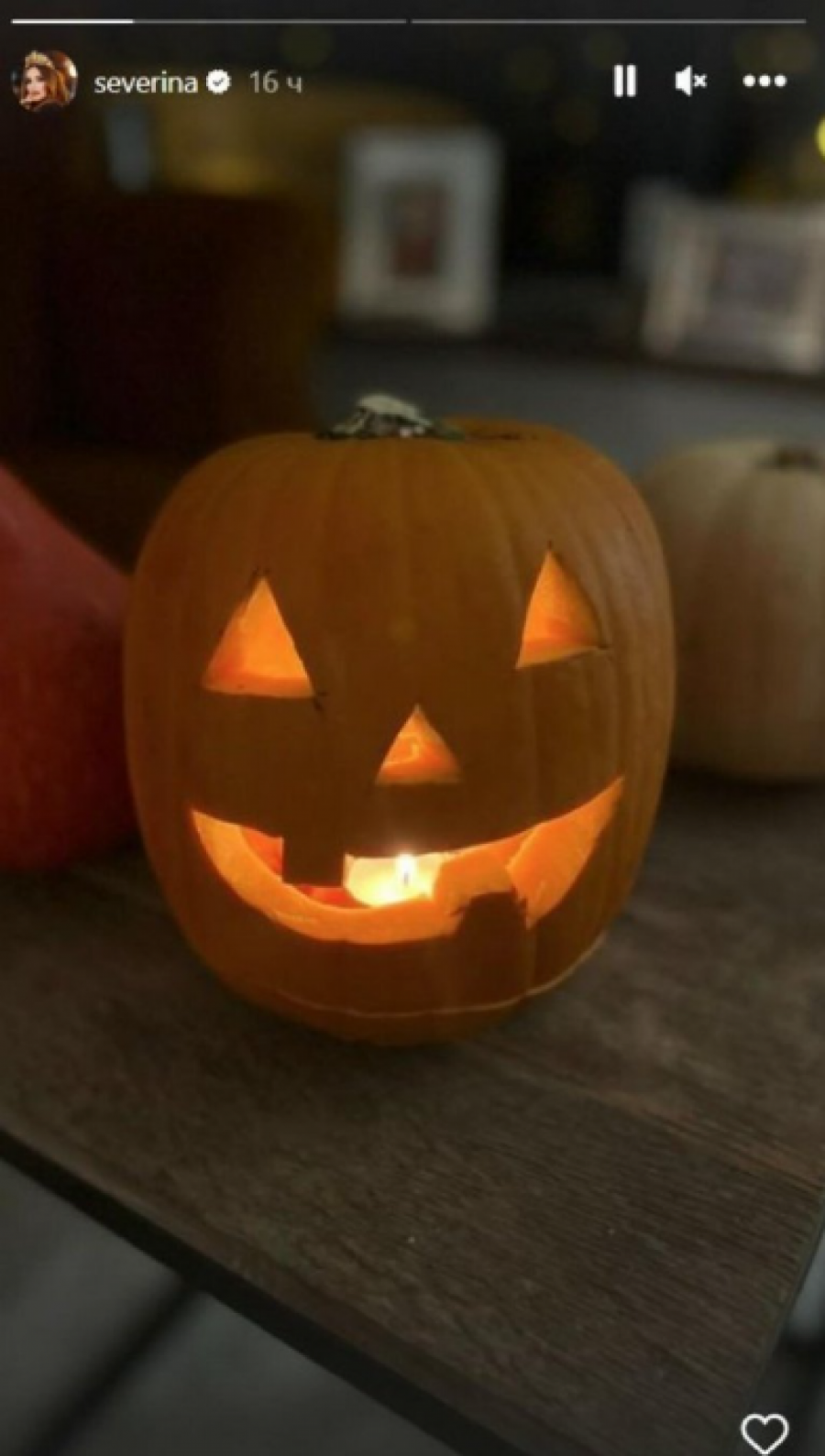 POŠTUJE TRADICIJU U SVOM STILU Severina Vučković pokazala svoj luksuzan stan, pa se pohvalila svojim umećem