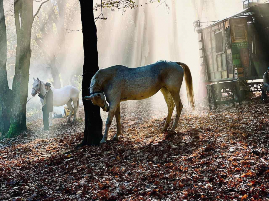 POČELO SNIMANJE FILMA KRUNA Ostvarenje pobedilo na konkursu za sufinansiranje, a radnja filma i glumačka postava će vas oduševiti