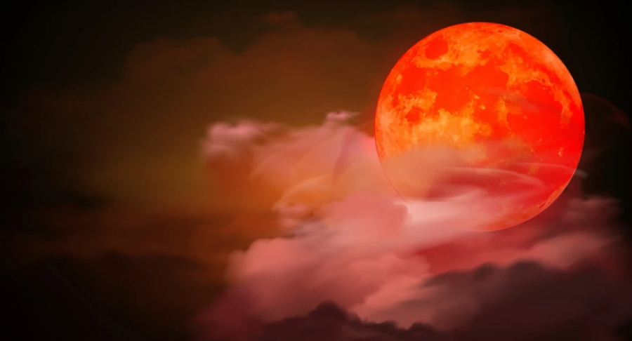 OVO JE NAJTAČNIJI SRPSKI HOROSKOP Zovu ga Roždanik, osobe rođene u maju iznenada će se obogatiti