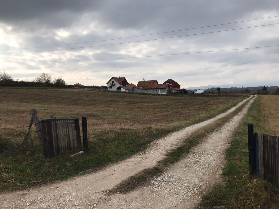 MOTIV BRUTALNOG UBISTVA KOD TOPOLE Brata tukao do smrti zbog milion dinara, meštani otkrili zašto mu je trebao novac!