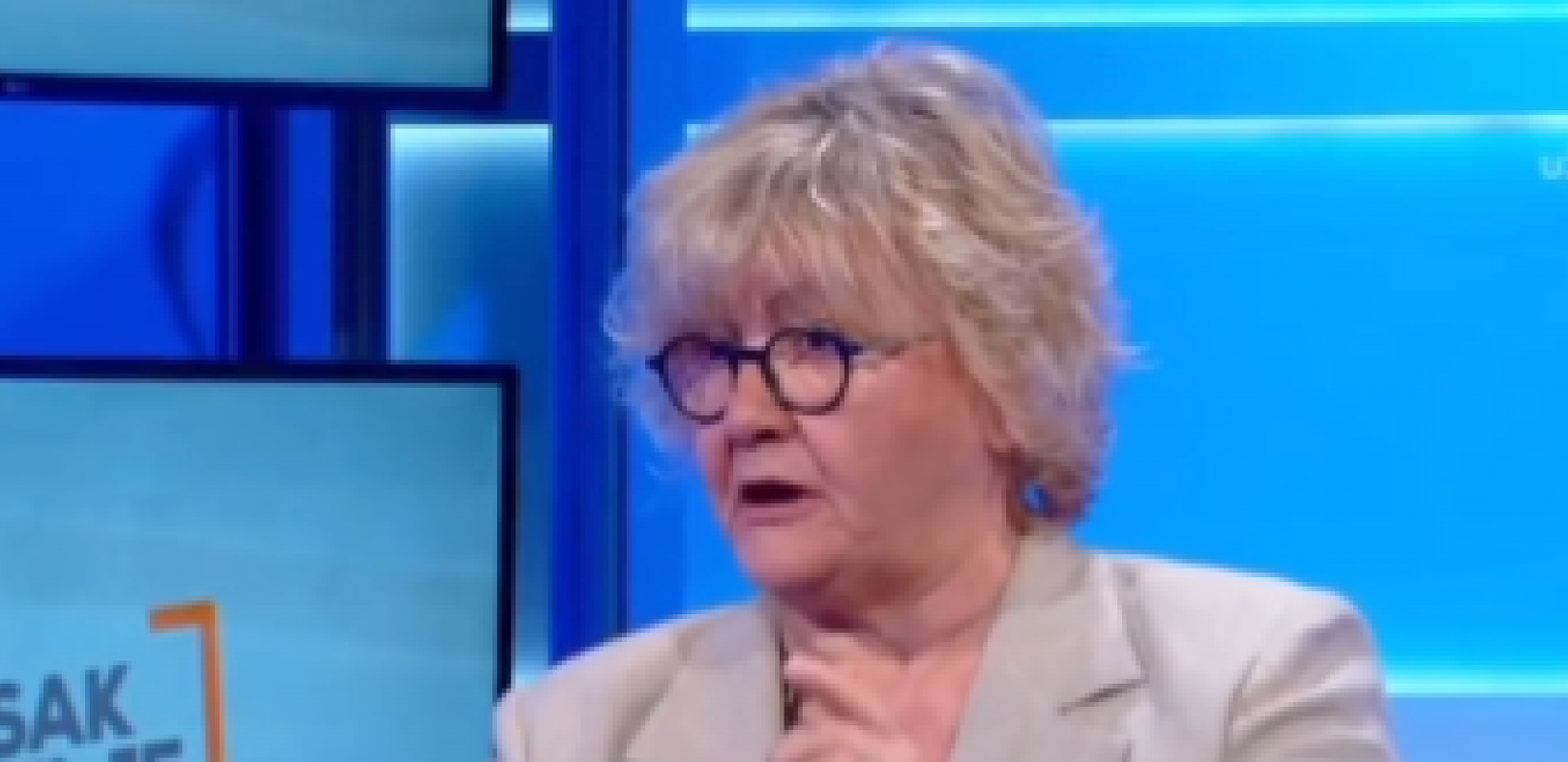 MILENKOVIĆ RAZOTKRIO SRAMNU LAŽ RADE TRAJKOVIĆ "Srbi se plaše Kurtija, a ne Srba!" (VIDEO)