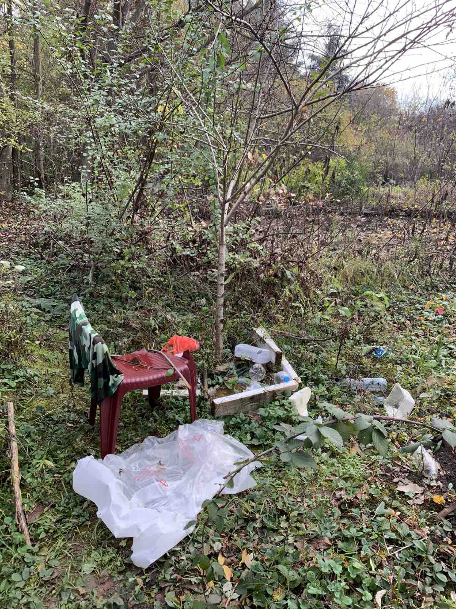 NARKO - BABA NEGIRALA KRIVICU Išla sam da sadim gladiole!