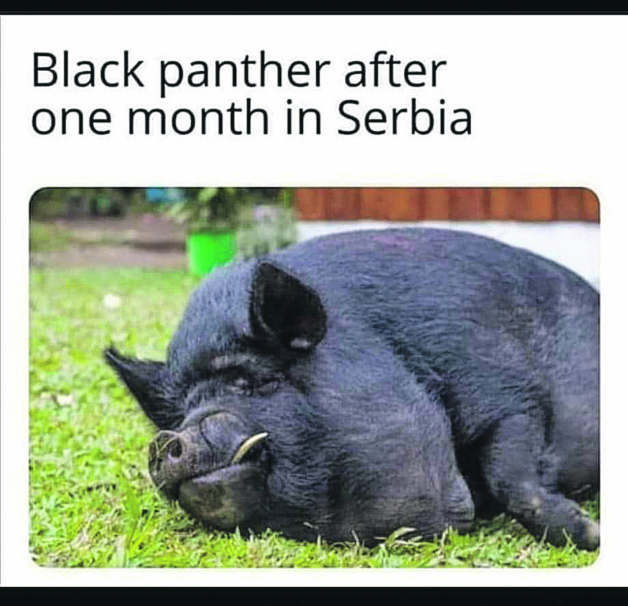 KO TO TAMO LOVI PANTERA?! Potraga stala, humor se širi