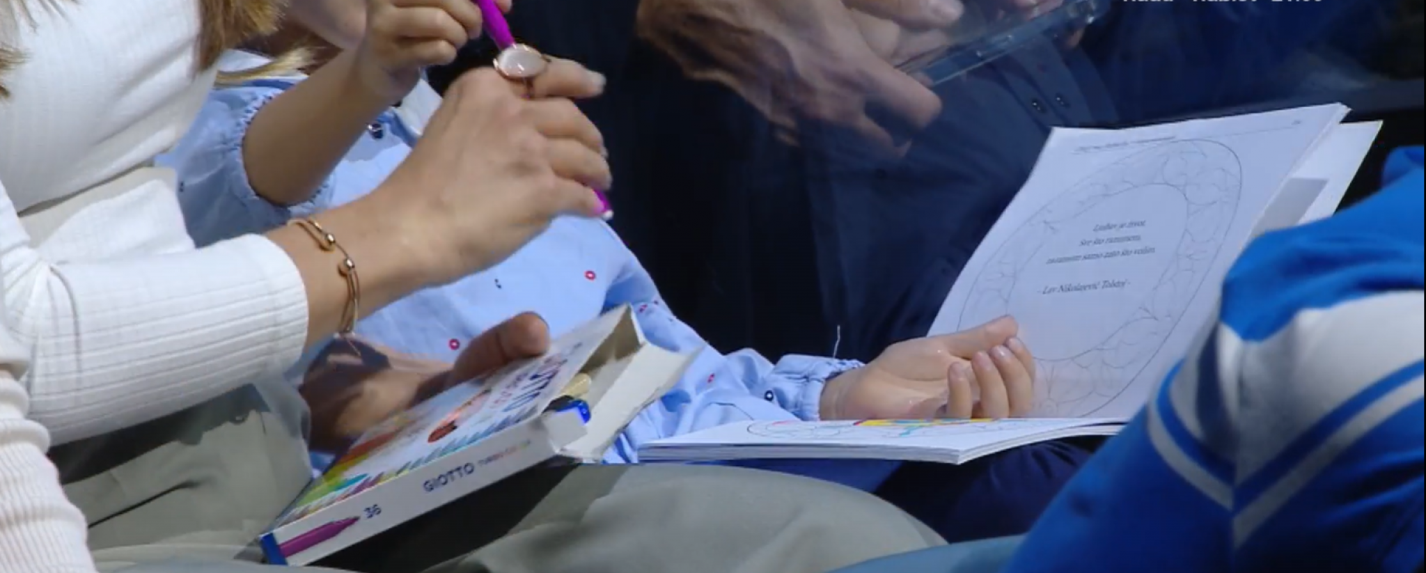 ONA JE IZAZVALA VELIKU PAŽNJU Ko je lepa dama u Đokovićevoj loži, svi su gledali samo u nju? (FOTO)