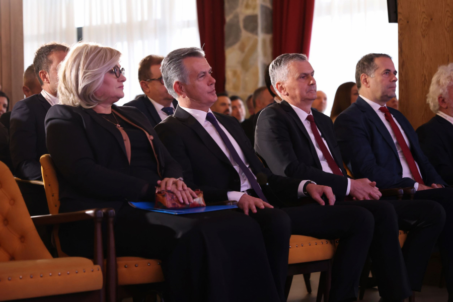 KLJUČNI POKAZATELJI Poruke sa Srpskih dana osiguranja: Decenija stabilnog rasta