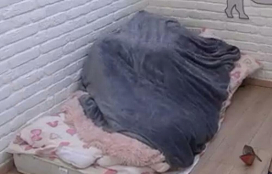 SKANDALOZNO Lepi Mića prekinuo vrelu akciju Maje i Bilala