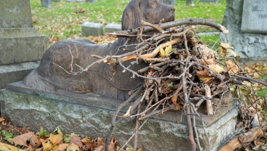 "ČUVAJ MOG MALOG" Već 100 godina ljudi ostavljaju granje na ovom grobu, iza svega se krije potresna priča!