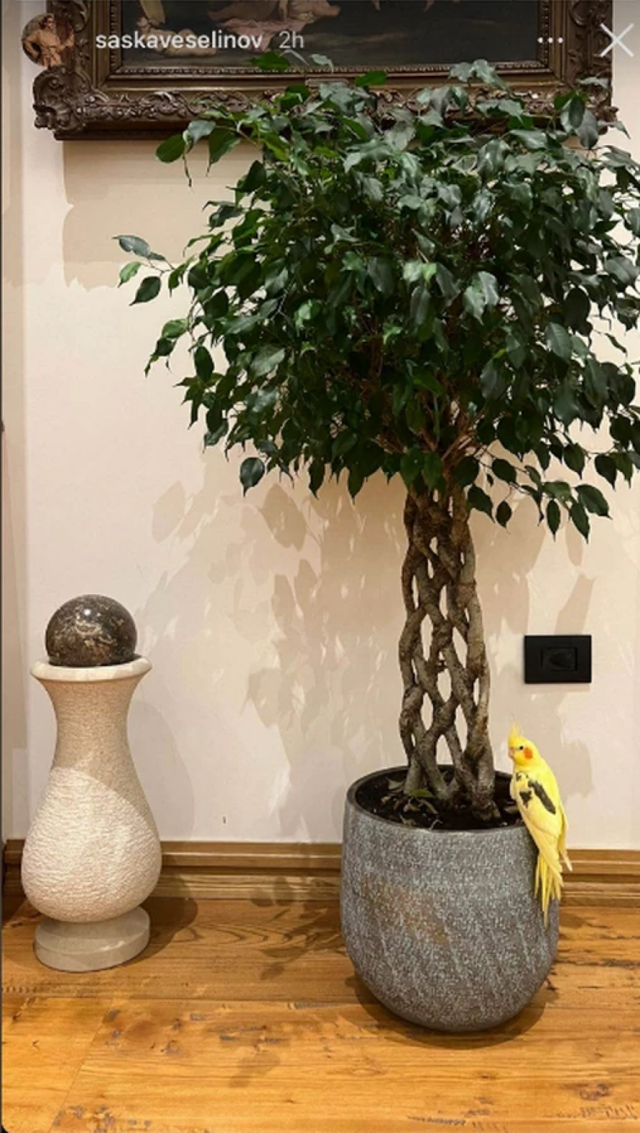 OVO JE DOM SAŠKE I ĐOLETA ĐOKOVIĆA Bračni par uživa u luksuzu, u dnevnoj sobi imaju kamin, a svi su primetili ovo (FOTO)