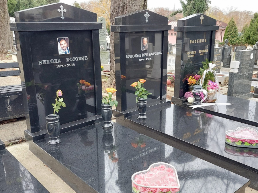 BRATU LUKE BOJOVIĆA JE PUCAO U GLAVU, A ONDA JE HLADNOKRVNO SASUO CEO ŠARŽER U NJEGA Zbog ovoga je robijao Pitbul koji je umro u zatvoru