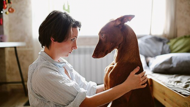 Prave maze: Pet velikih rasa pasa koje važe za najnežnije