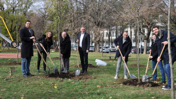 AKCIJA SADNjE DRVEĆA NA SAVSKOM VENCU Predsednik Vidović: Pošumljavanje važno za zaštitu životne sredine i čistiji vazduh na našoj opštini