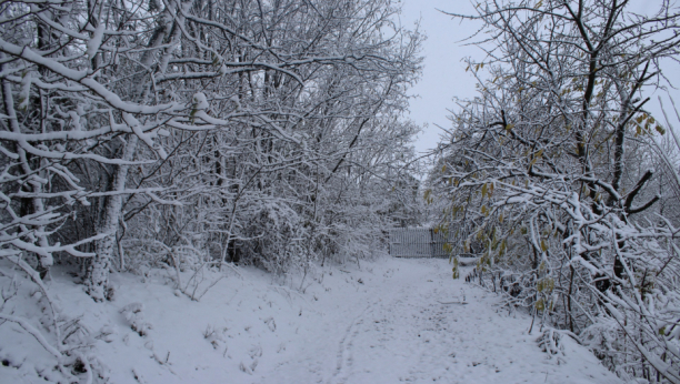 OPASNO VREME! POLARNI VORTEKS NADVIJA SE NAD SRBIJOM! Počinje prava zima, ali to nije sve! Na Kopaoniku moguć zemljotres!