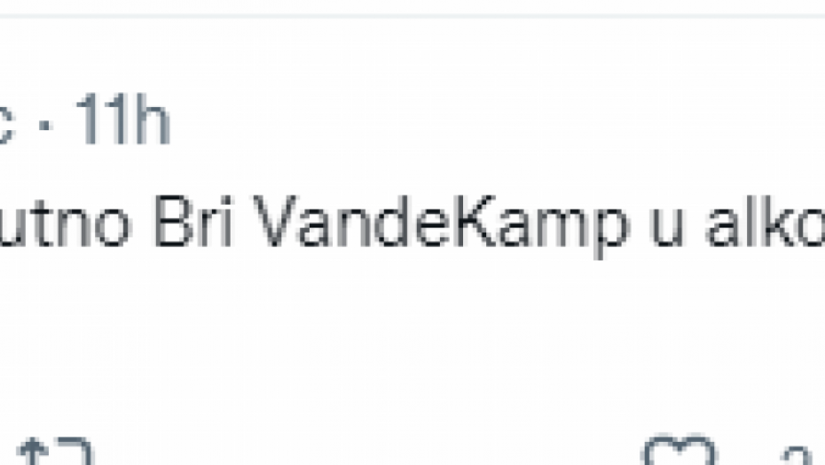 Ana Nikolić Tviter komentari 