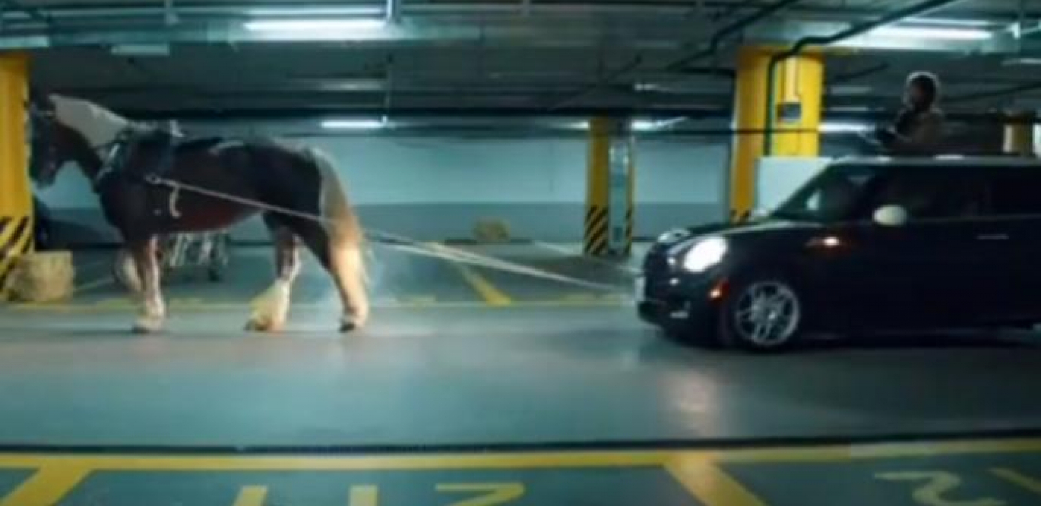 RUSIJA JEDNIM SNIMKOM PONIZILA CEO ZAPAD Evropljani jašu konje, jer nemaju više nafte (VIDEO)