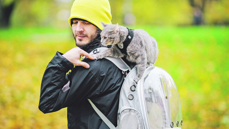 VEČITA DILEMA Da li bi ljubimica volela da se promuva s gospodarom po kraju, zavisi od njenog karaktera