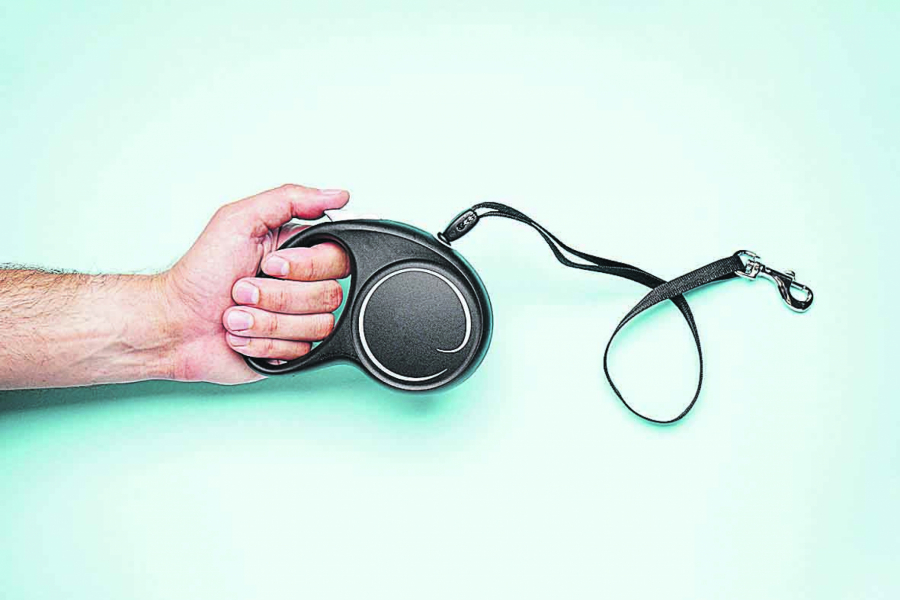 VEČITA DILEMA Da li bi ljubimica volela da se promuva s gospodarom po kraju, zavisi od njenog karaktera