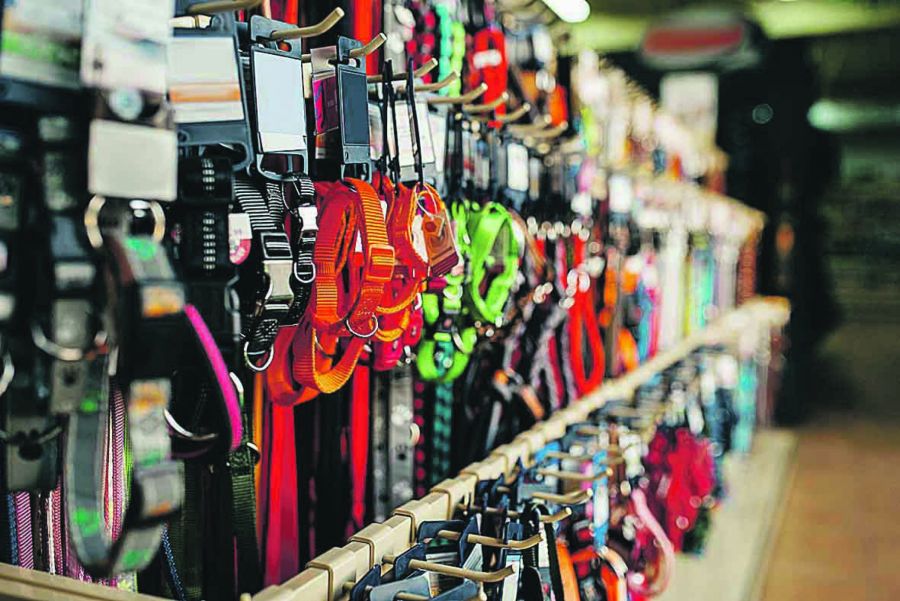 VEČITA DILEMA Da li bi ljubimica volela da se promuva s gospodarom po kraju, zavisi od njenog karaktera