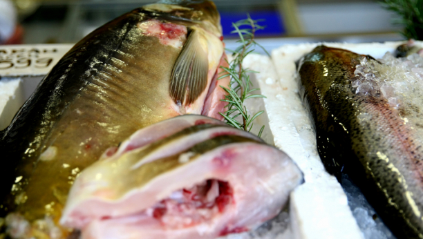 PRED SVETOG NIKOLU, ŠARANA I SOMA SKORA DA NEMA Domaćini, ovo su cene ribe na beogradskim pijacama - prodavac s Kalenića daje beplatan obrok ljudima bez novca