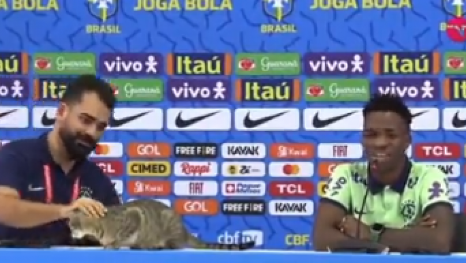 OVO NIKO NIJE OČEKIVAO Evo šta se desilo sa mačkom koja je prekinula konferenciju Brazila (VIDEO)