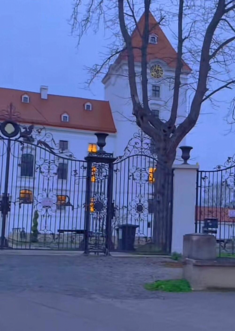 NJEN DOM POSTAO TURISTIČKA ATRAKCIJA Hit! Dvorac Dragane Mirković u Beču  postaje novi Šenbrun (FOTO)