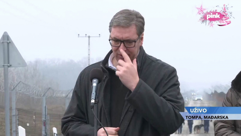 VUČIĆ U MAĐARSKOJ 