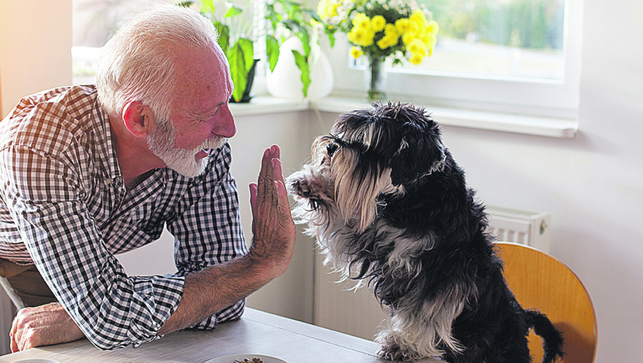 Stariji kućni ljubimci imaju pozitivan uticaj na starije osobe